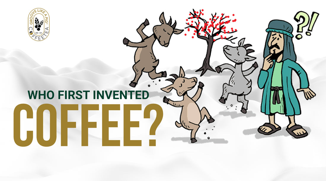 who-first-invented-coffee-groovelikeapig-coffeetea